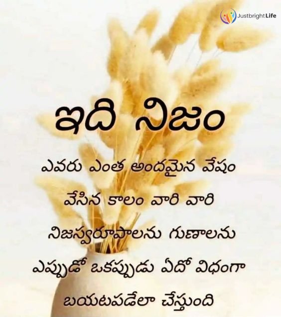 Trivikram Srinivas Quotes