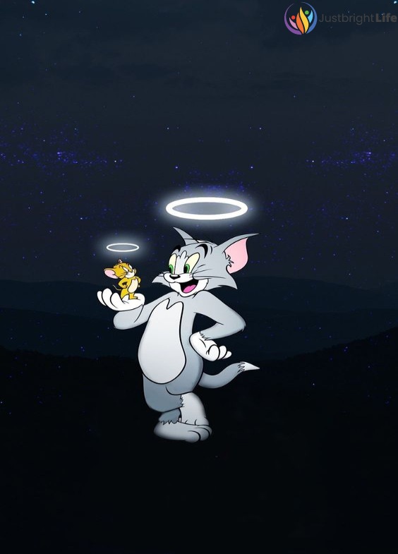 Full Hd Tom And Jerry Whatsapp